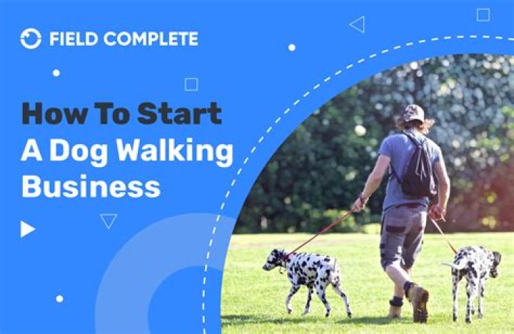 How much can a dog walking business make?