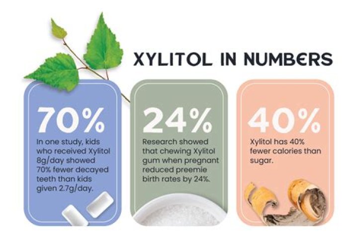How much does xylitol cost?