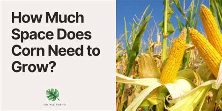 How much space does OpenCV take?