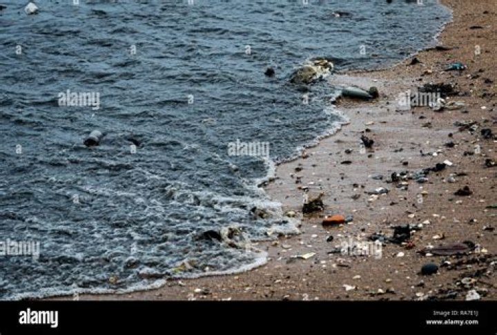 Is beach water dirty?