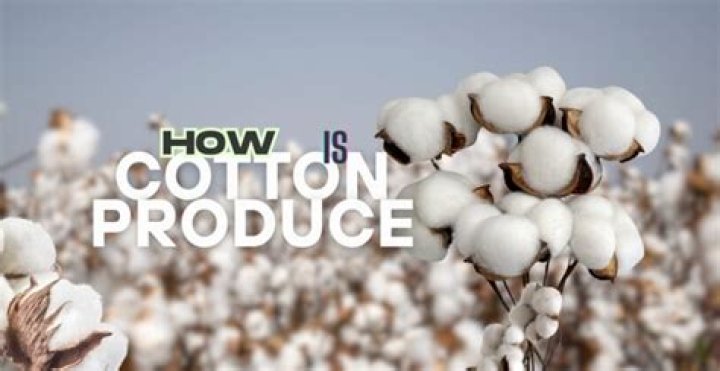 Is cotton produced?