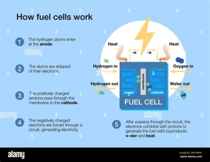 Is electricity the fuel of the future?