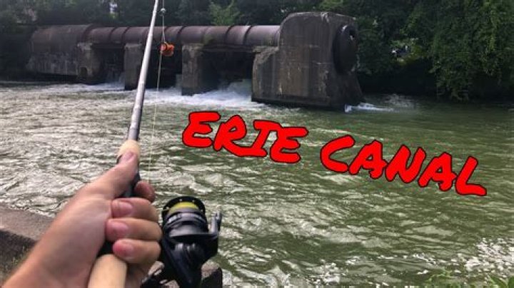 Is fishing good in the Erie Canal?