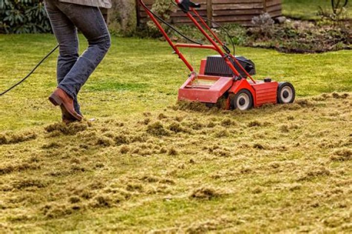 Is it better to dethatch or aerate?