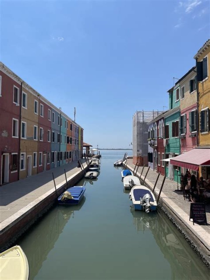 Is it easier to cut a dog wet or dry?