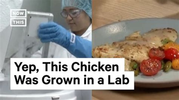 Is KFC chicken made in a lab?