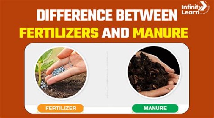 Is manure better than fertilizers?
