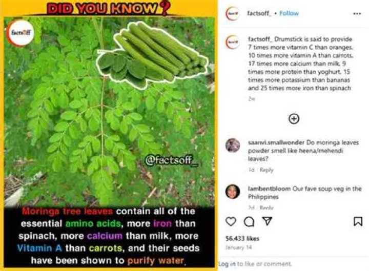 Is moringa better than spinach?
