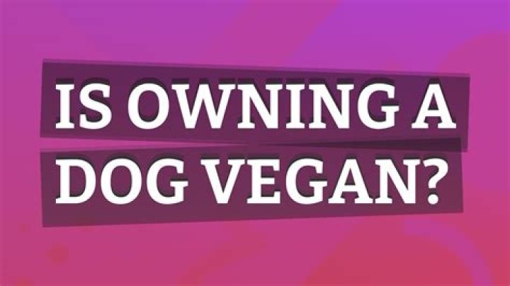 Is owning a dog vegan?