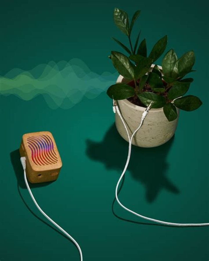 Is PlantWave a real thing?