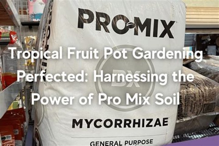 Is PRO-MIX a good soil?