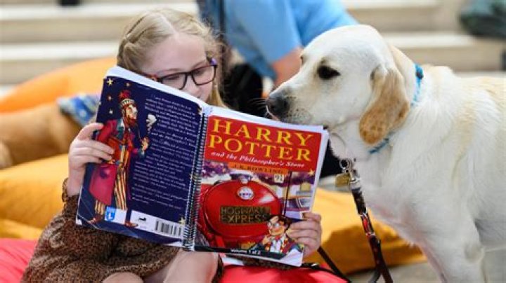 Is reading Harry Potter good for you?