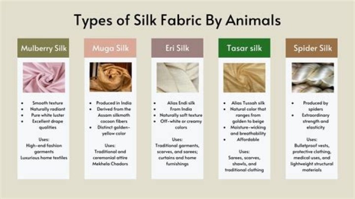 Is silk better than wool?