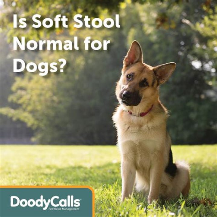 Is soft stool normal?
