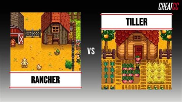 Is tiller or rancher better?