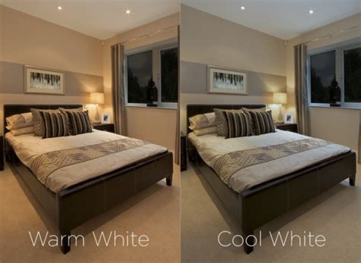 Is winter white cool or warm?