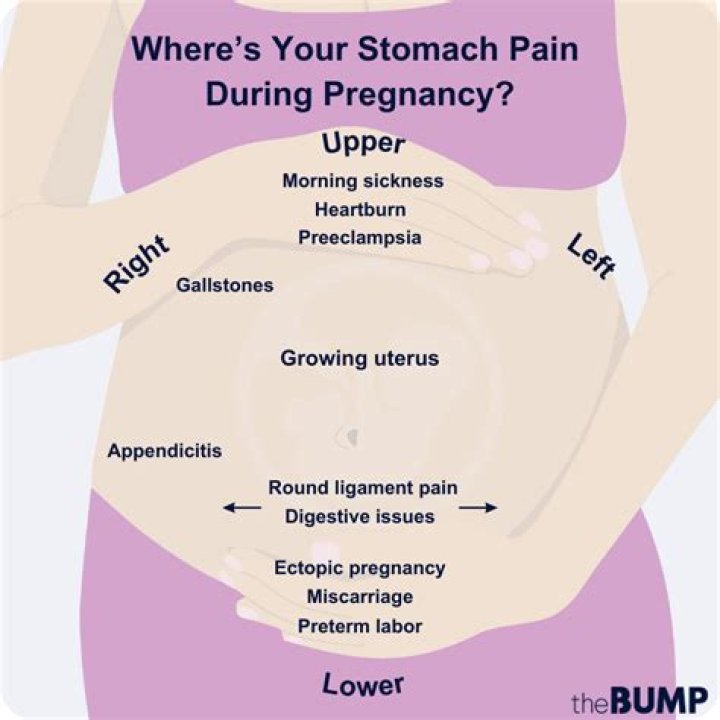 Is your stomach hard in early pregnancy?