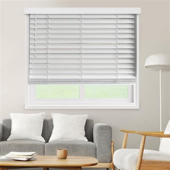 Should I leave the blinds open for my dog?
