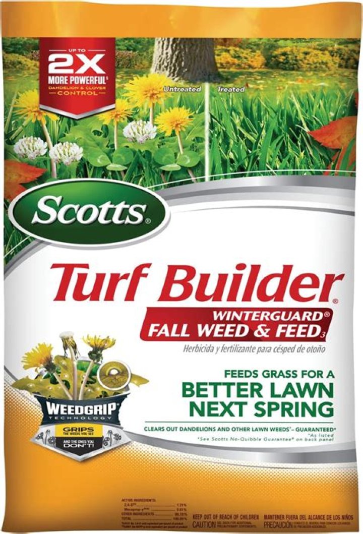 Should I water after applying Scotts WinterGuard?