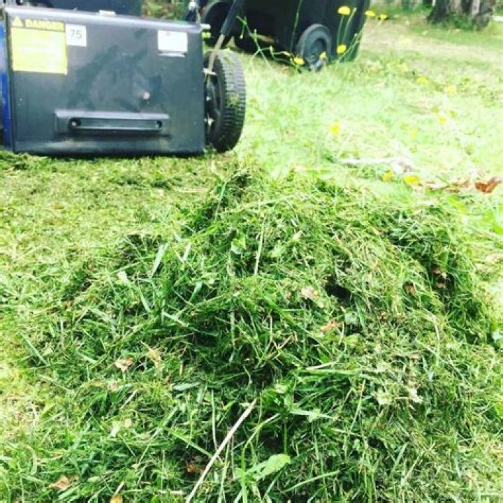Should lawn clippings be removed?