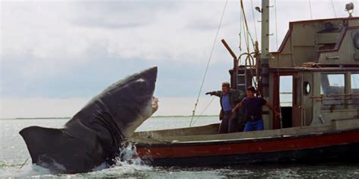 Was there a meteor shower during the filming of Jaws?