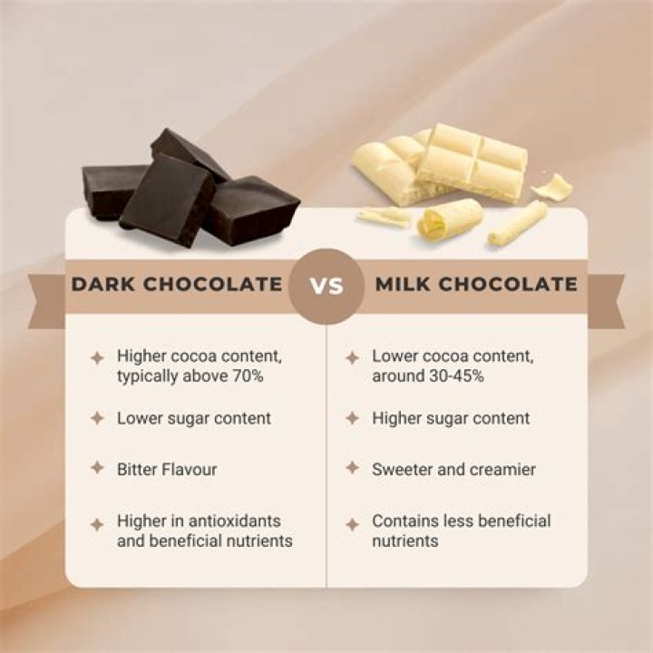 What's the difference between bitter chocolate and dark chocolate?