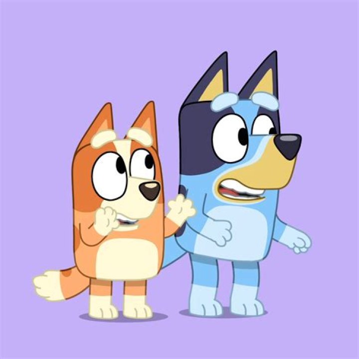 What's wrong with bingo on Bluey?