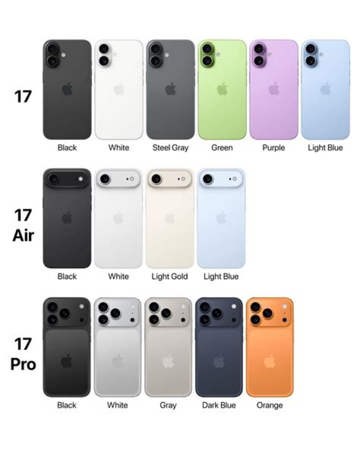 What are the 4 bars on my iPhone?