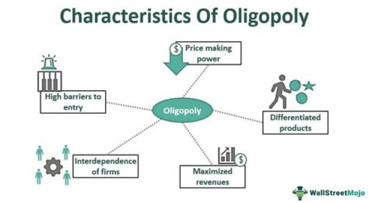 What are the characteristics of a oligopoly?