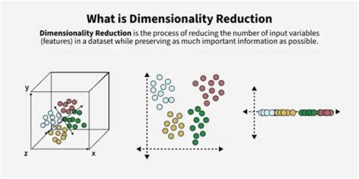 What are the disadvantages of dimensionality reduction?