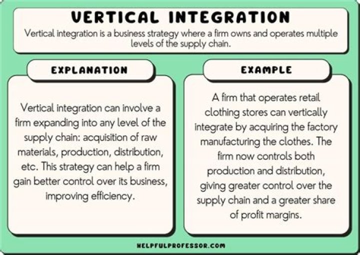 What are the pros and cons of vertical integration?