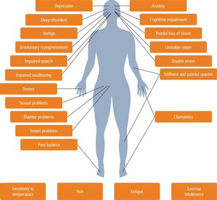 What are the symptoms of a fit?