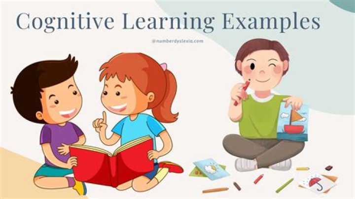 What are the three types of cognitive learning?