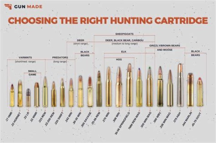 What caliber is a 22 long rifle?