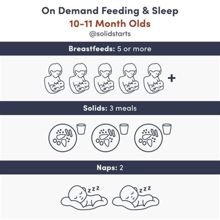 What can a 3 month old eat?