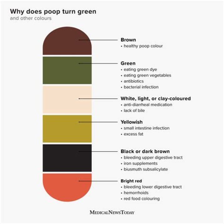 What causes green poop?