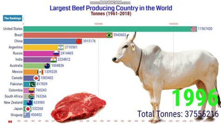 What country produces the most beef?
