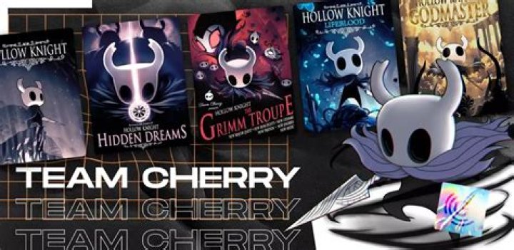 What did Team Cherry use for Hollow Knight?