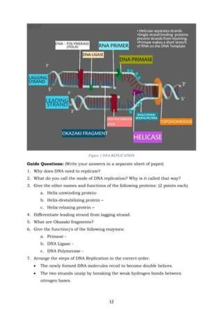 What do you call the mode of DNA replication why is it called that way?
