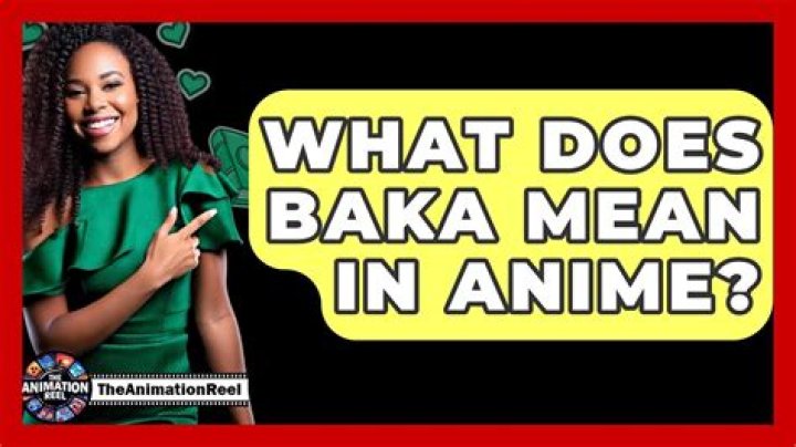 What does Baka mean in a relationship?