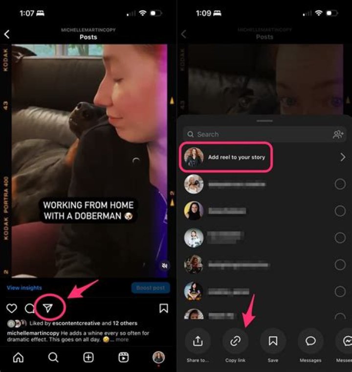 What does the share button on Instagram do?