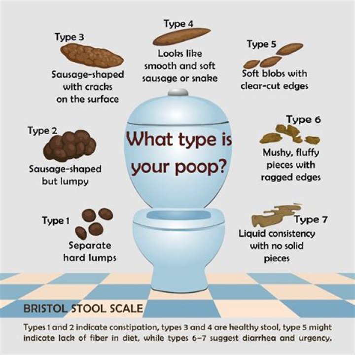What does Type 7 stool mean?