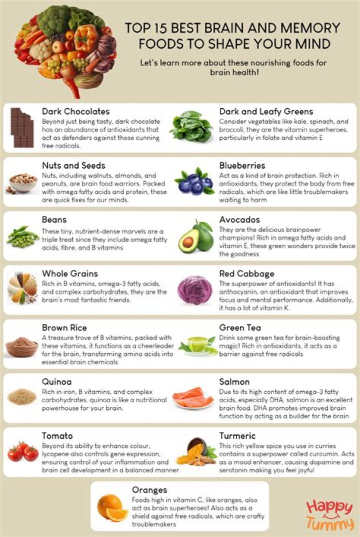 What foods help repair brain damage?