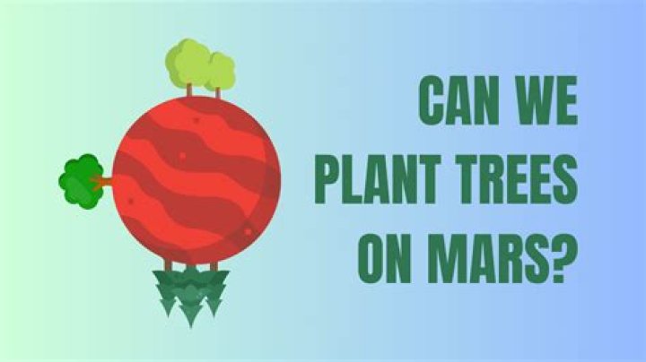 What happens if you plant trees on Mars?