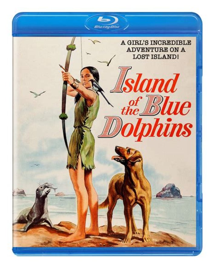 What happens in chapter 22 of Island of the Blue Dolphins?