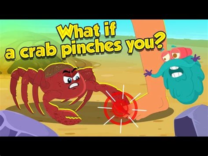 What happens when crabs pinch you?