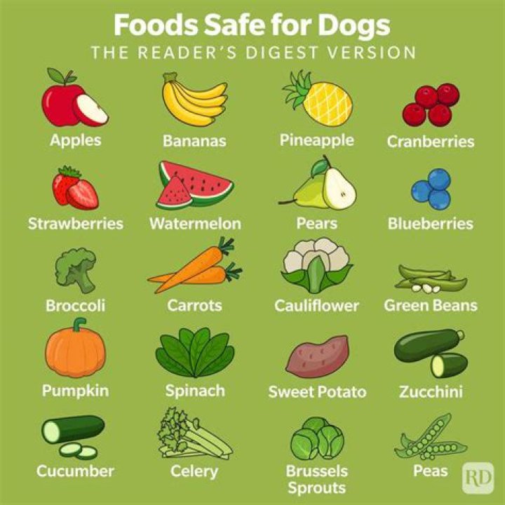 What human foods are good for dogs?
