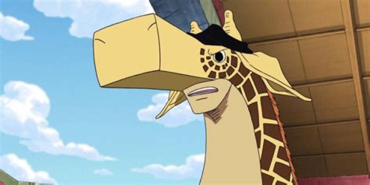 What is a Kaku?