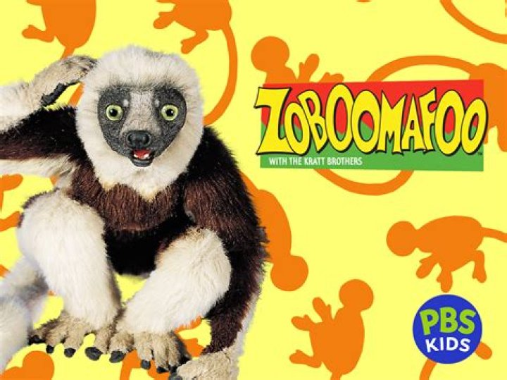 What is a Zoobo?