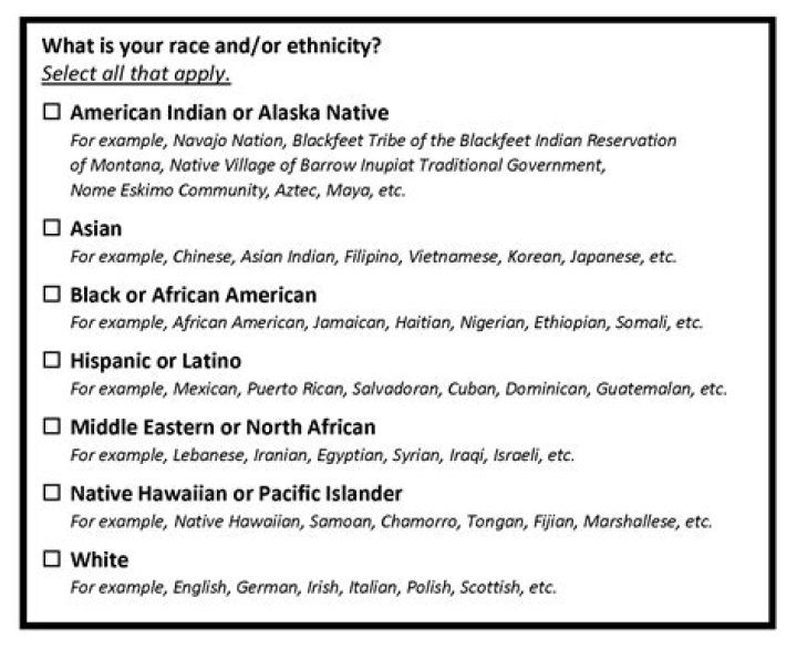 What is an example of race and ethnicity?